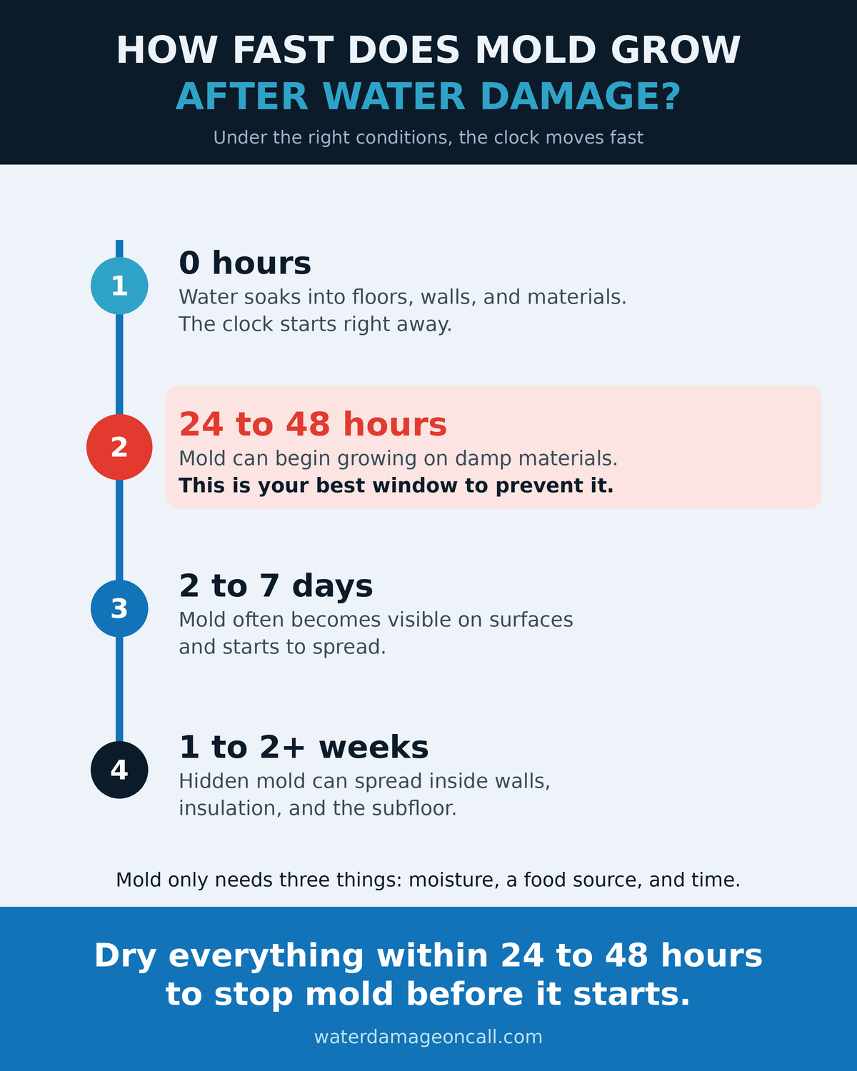 Timeline infographic showing mold can begin growing 24 to 48 hours after water damage