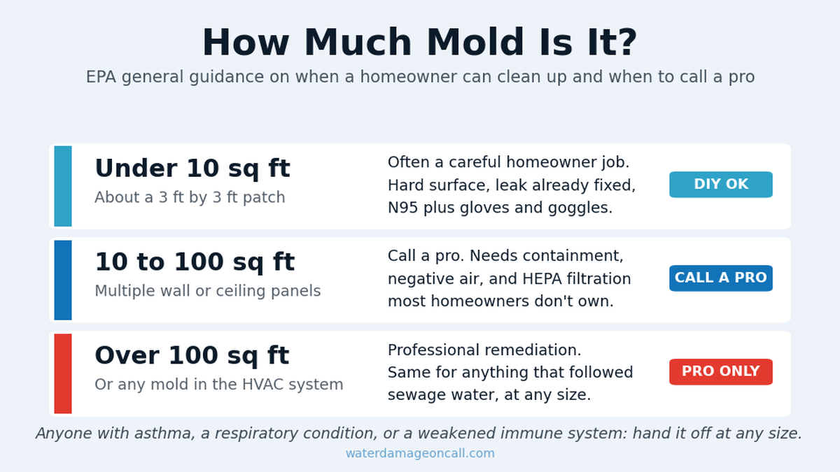 Chart showing when mold cleanup is a homeowner job and when to call a pro